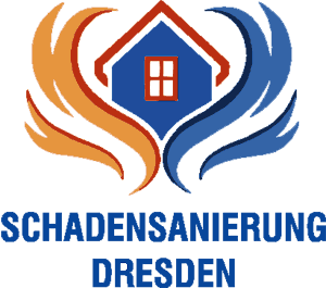 Schadensanierung in Dresden